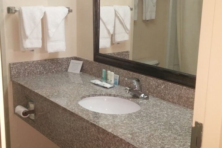 1 King Bed Accessible (6 of 16)