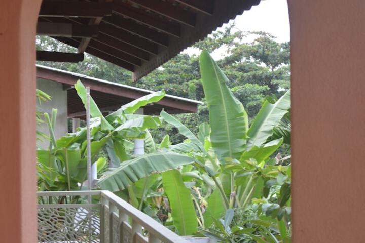 Terrace/Patio 21 of 77