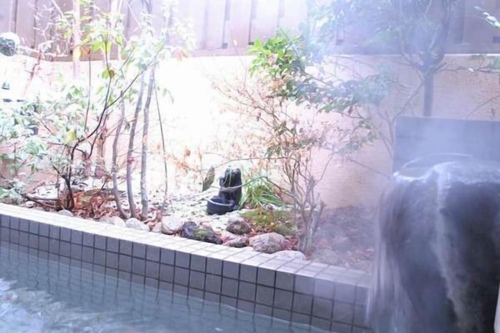 Spa and Wellness