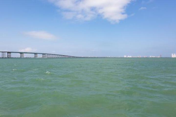 Ventura #101 in South Padre Island, TX