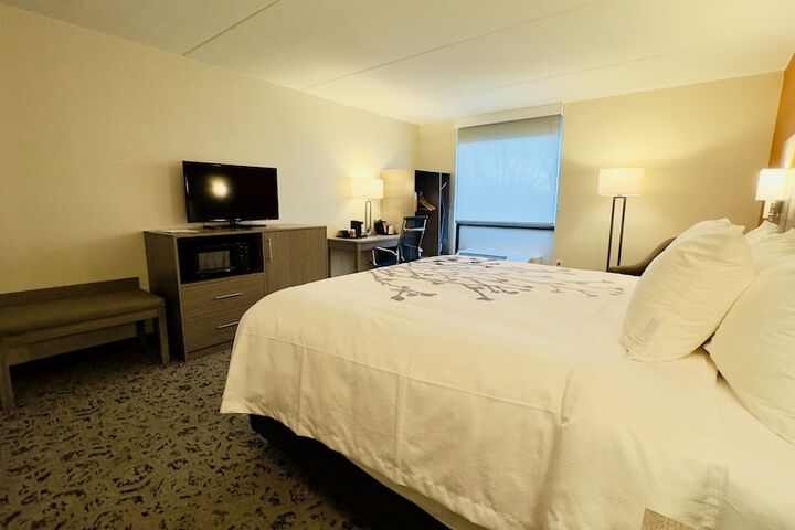 1 King Bed (6 of 7)