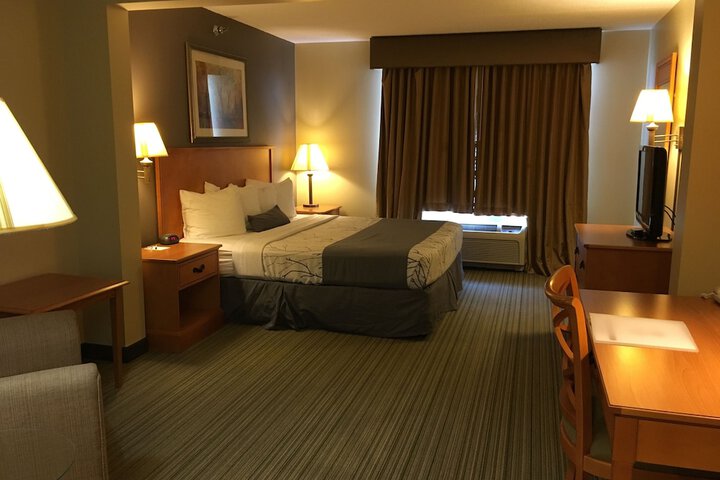 1 King Bed (11 of 41)
