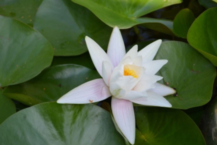 Hotel View 1 of 8