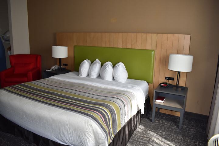 1 King Bed Accessible (1 of 55)