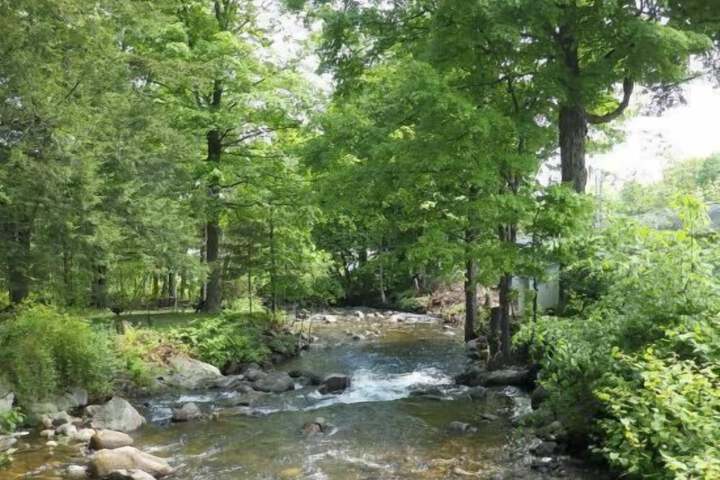 Property Grounds 30 of 52