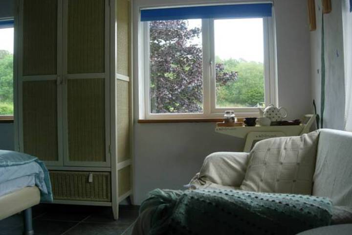 Suite Room