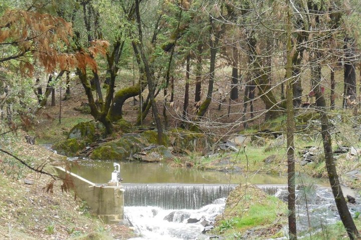 Property Grounds 24 of 40