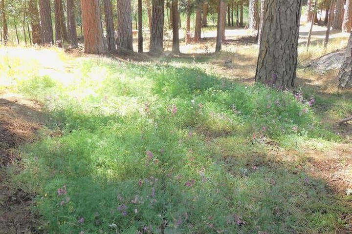 Property Grounds 21 of 40