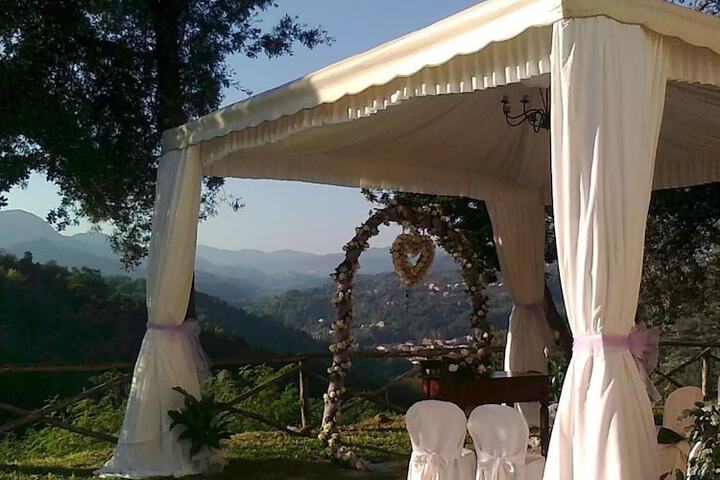 Wedding/Banquet 28 of 37