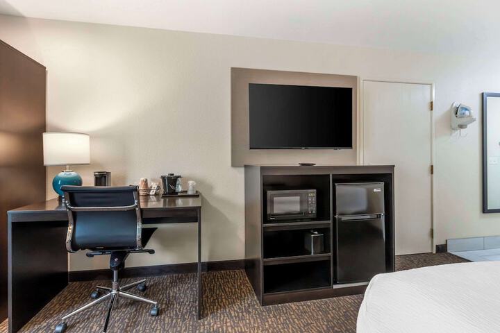 1 King Bed Suite (7 of 10)