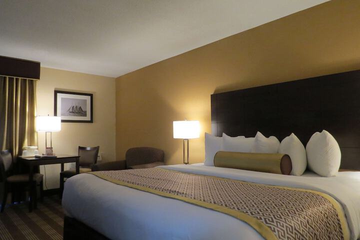 Standard King Bed Pet Friendly Accessible (3 of 13)