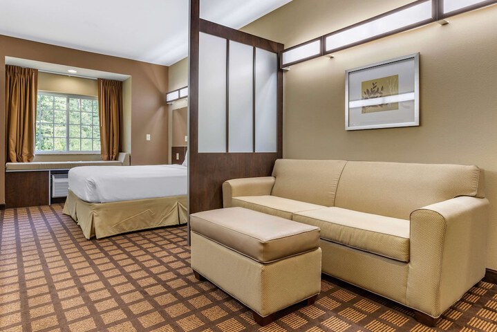 1 Queen Bed Mobility Accessible Studio Suite (3 of 3)
