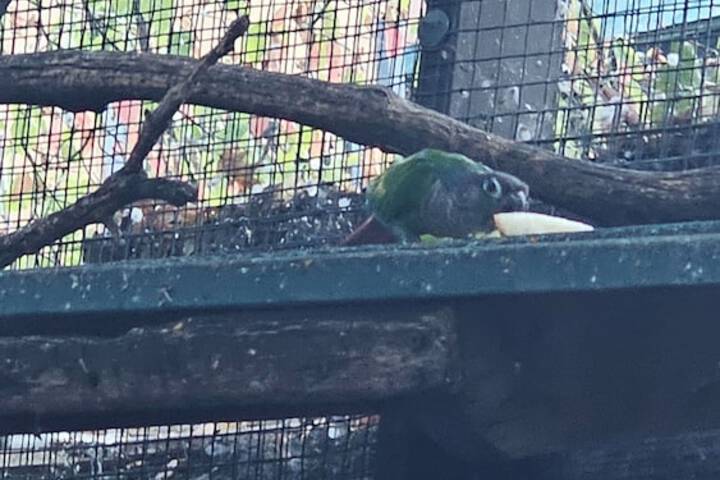 Hotel Exterior 118 of 120