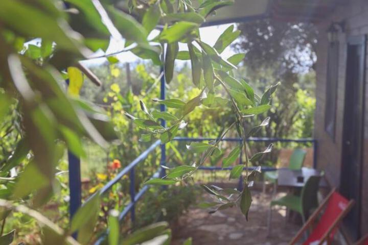 General 22 of 86