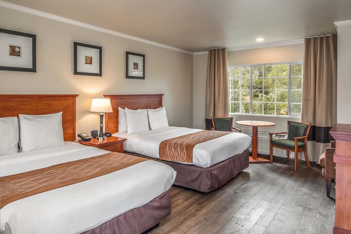 2 Queen Beds (4 of 11)