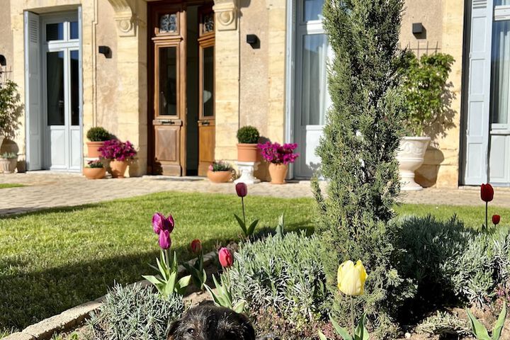 Pet Friendly 67 of 104