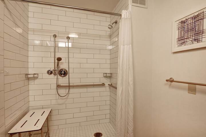 1 King Mobility Accessible with Tub (11 of 15)