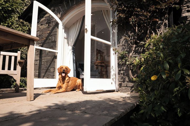 Pet Friendly 74 of 164