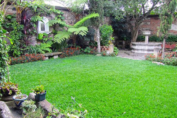 Property Grounds 15 of 26