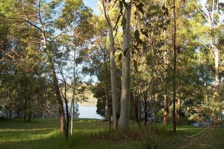 Property Grounds 13 of 15