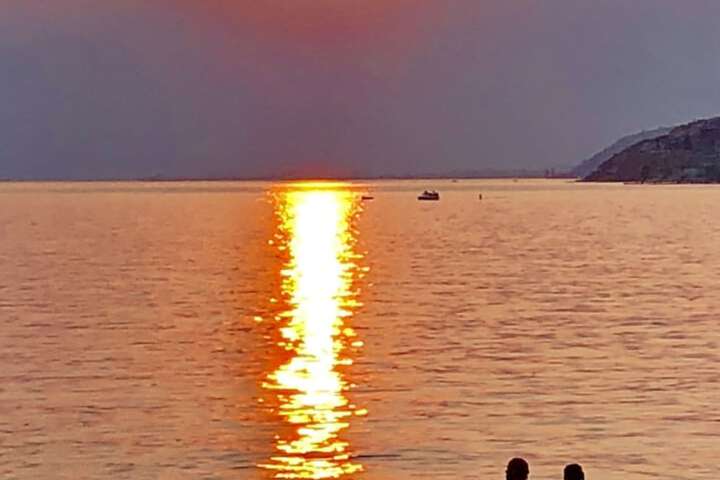 Property Grounds 50 of 100