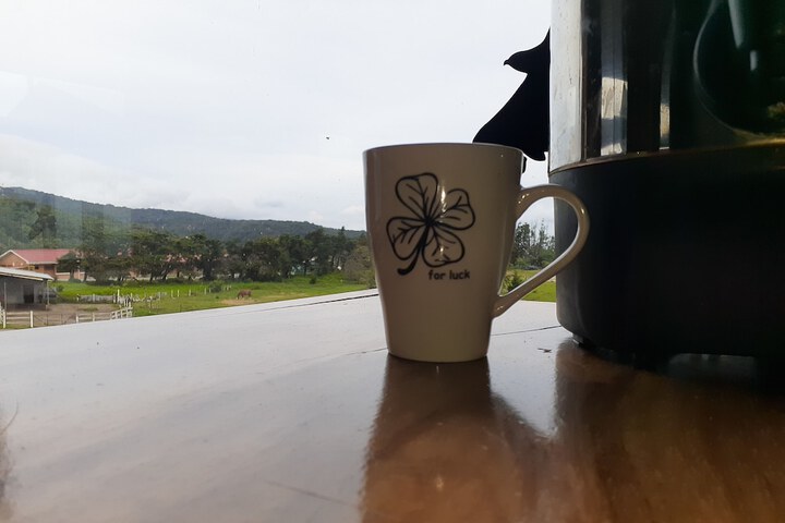 Breakfast/Coffee Service 38 of 86