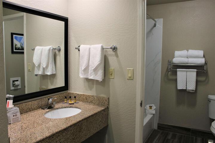 2 Queen Beds Pet Friendly (16 of 17)