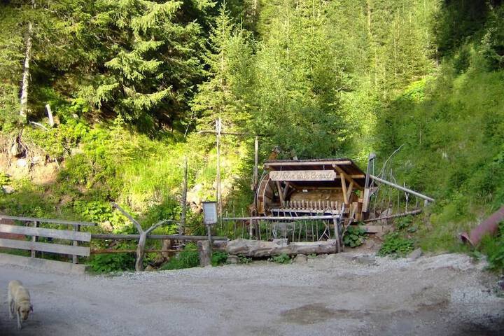 Property Grounds 21 of 29