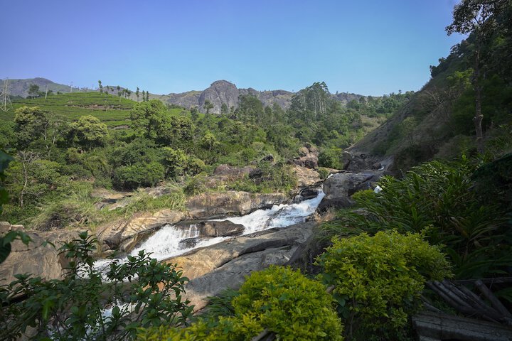 Ecotours