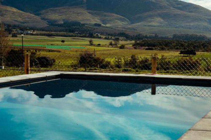 Pool 21 of 25