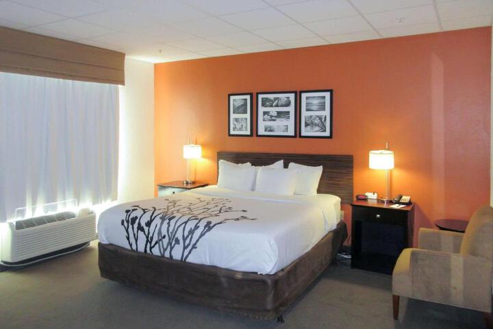 Standard | King Bed (6 of 18)