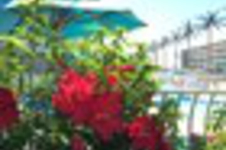 Hotel 245 of 258