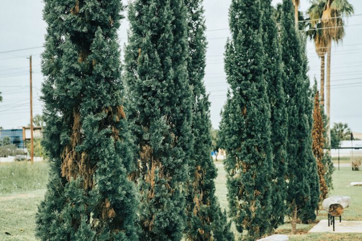 Tennis and Basketball Courts 13 of 26