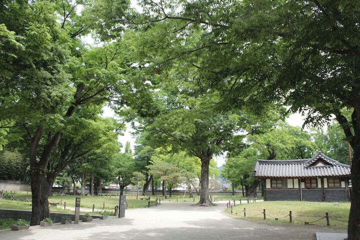Land view from property