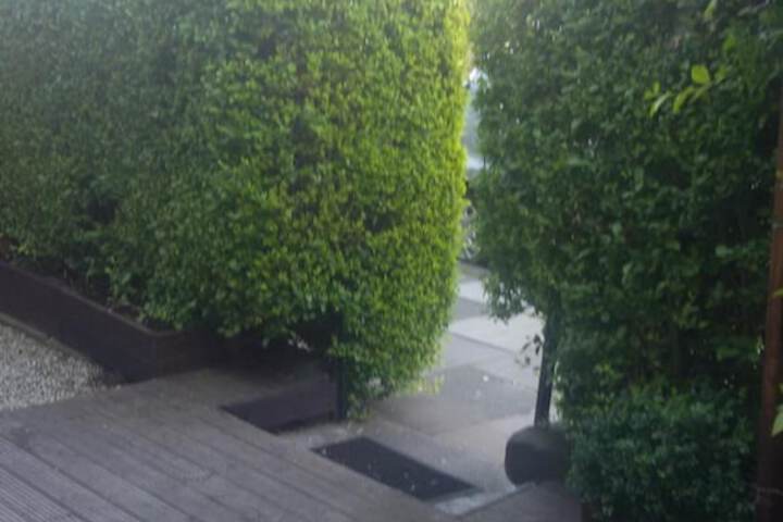 Property Grounds 30 of 34