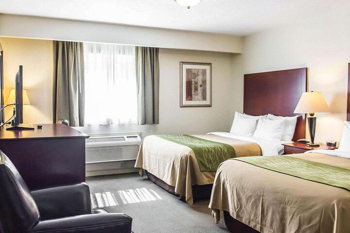 2 Double Beds Business Room (5 of 7)