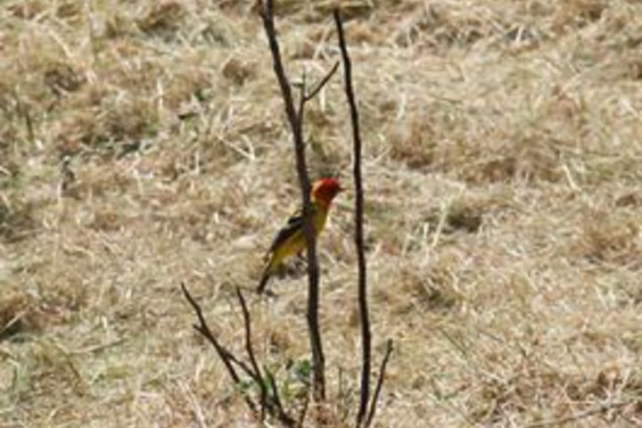 Property Grounds 66 of 75