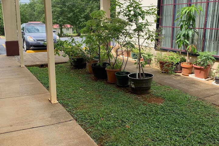 Courtyard