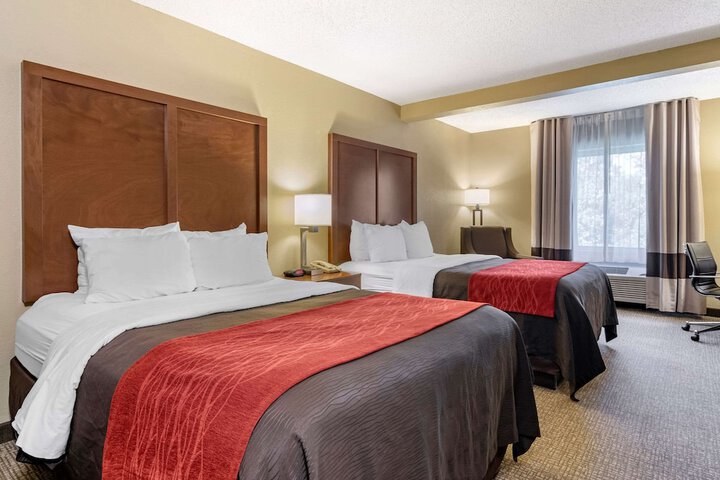 2 Queen Beds (1 of 6)