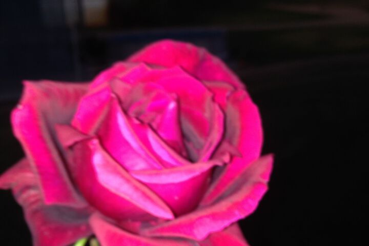 Property Grounds 48 of 54