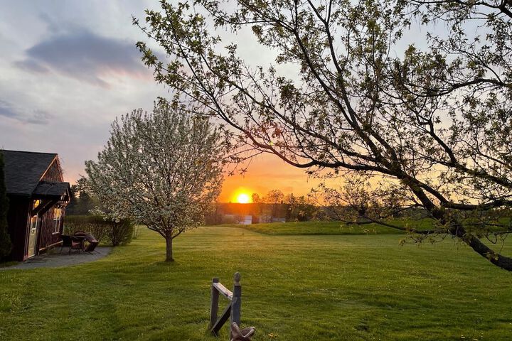 Property Grounds 23 of 34