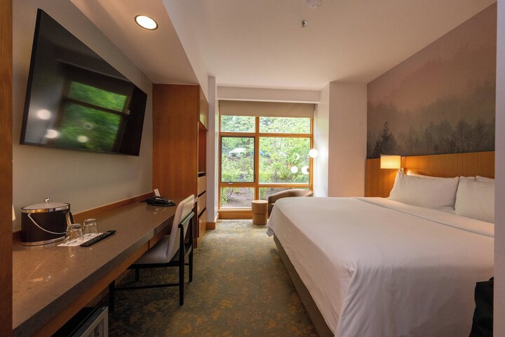 Room 20 of 49