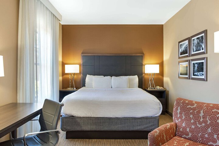 1 King Bed (10 of 20)