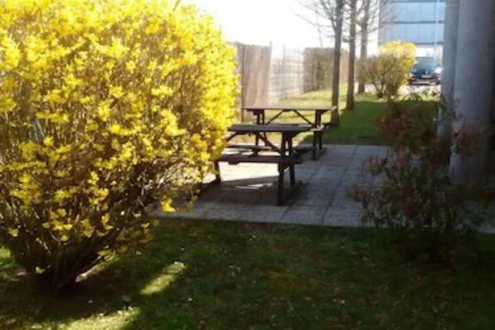 Terrace/Patio 36 of 39