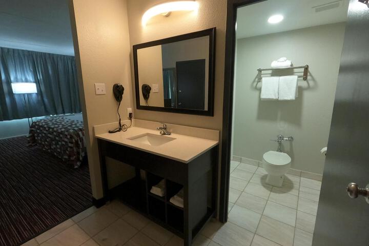 ADA Accessible Deluxe King with Roll in Shower (10 of 12)