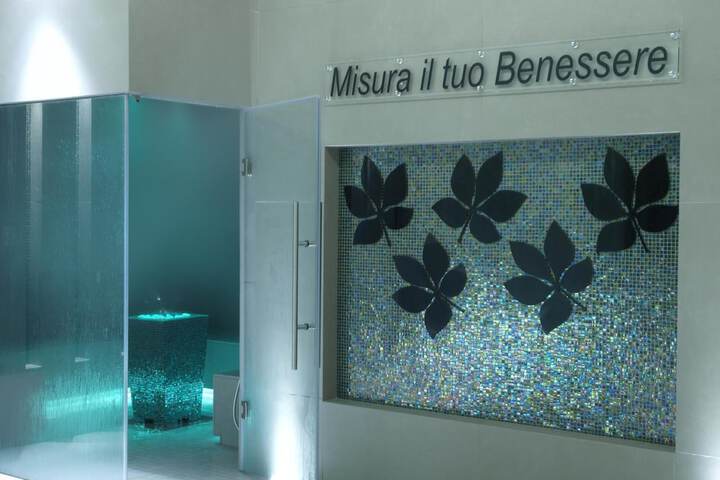 Spa and Wellness