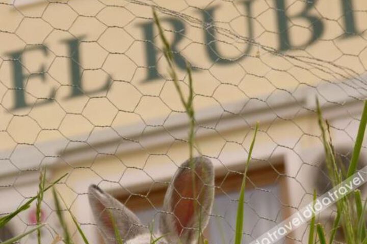 General 34 of 38