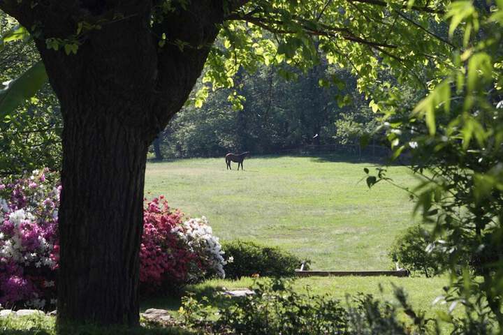 Property Grounds 33 of 40