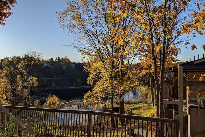 Property Grounds 86 of 104