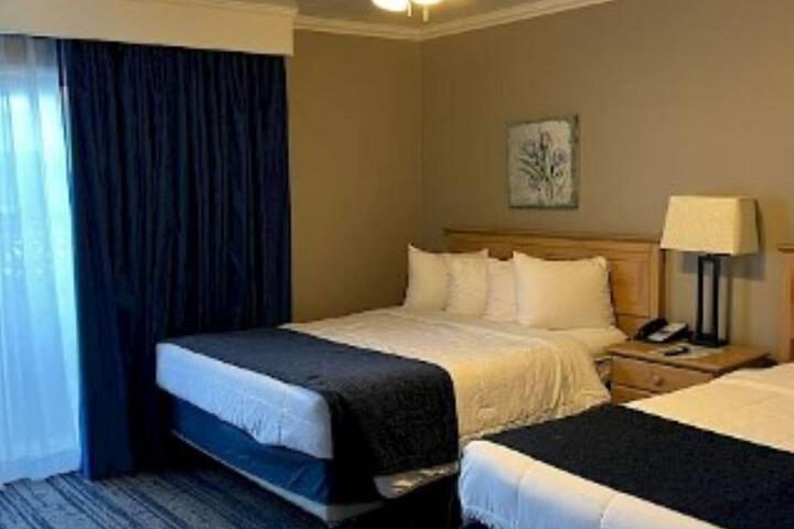 1 King Bed